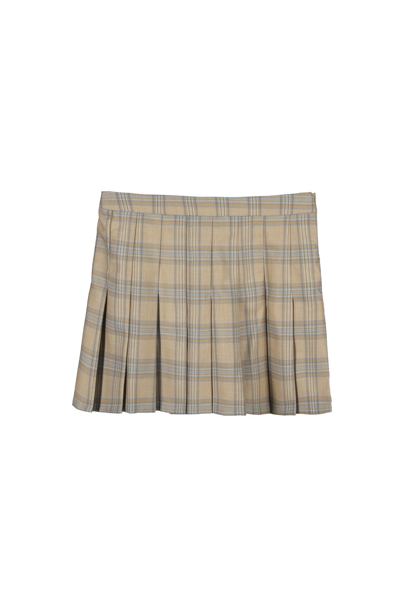 Pleated Mini Skirt