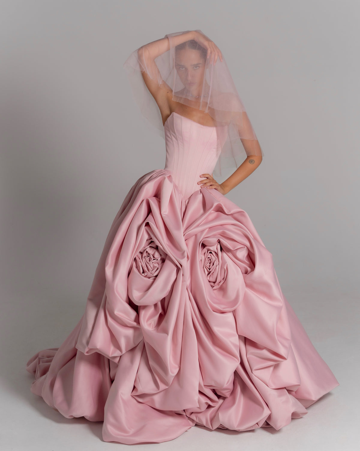 The Blush Rose