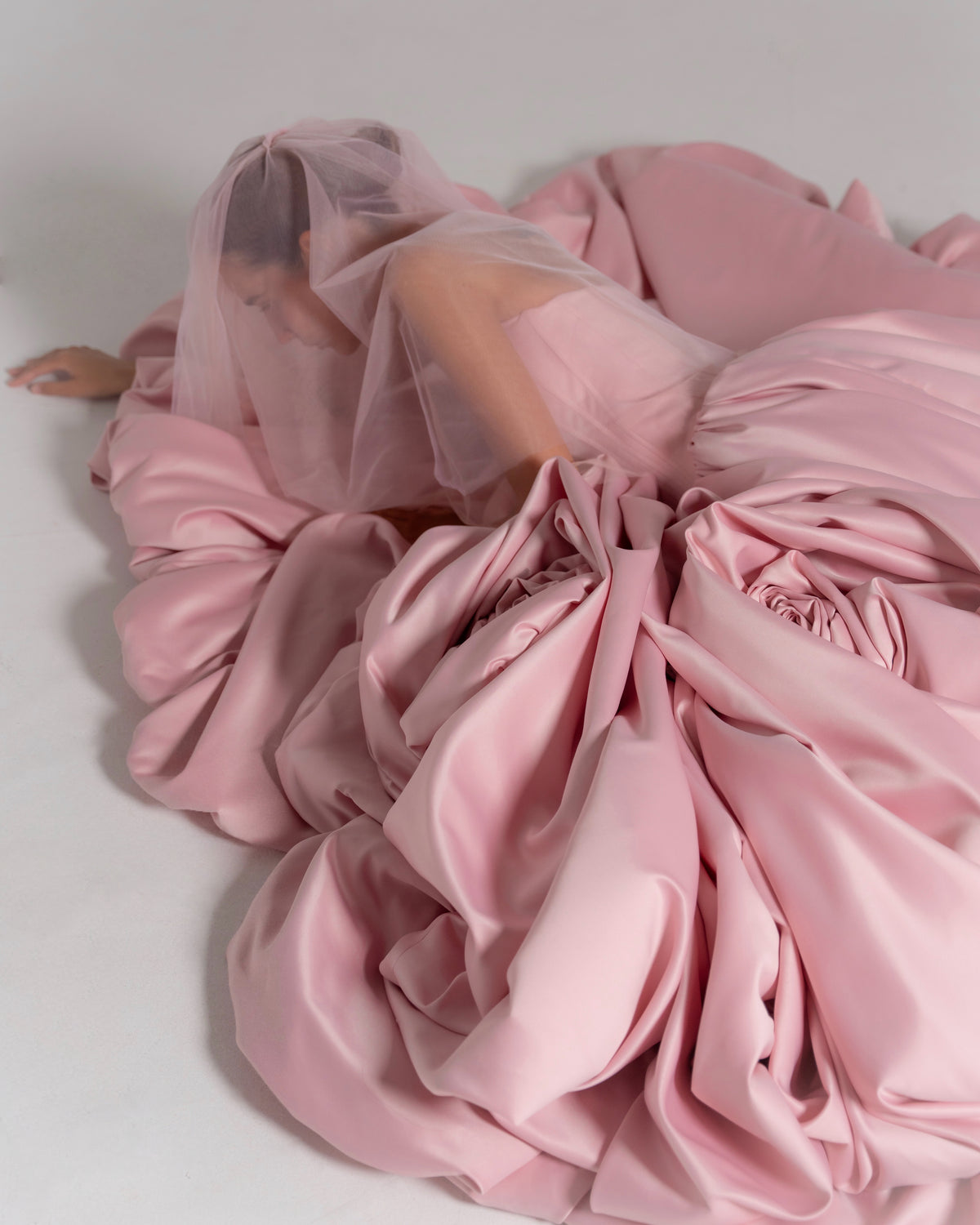 The Blush Rose