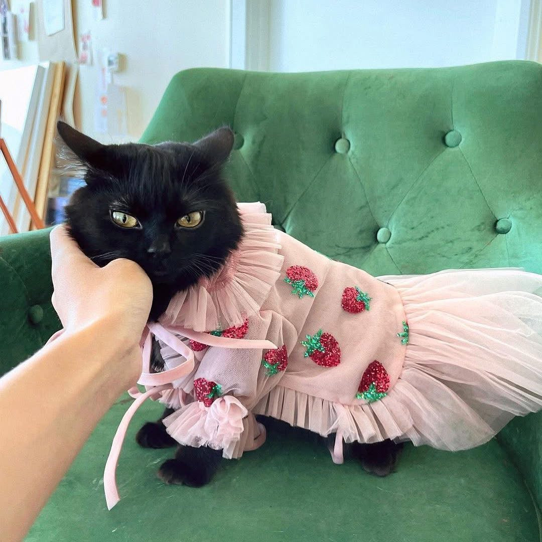 Strawberry Dress For Pets