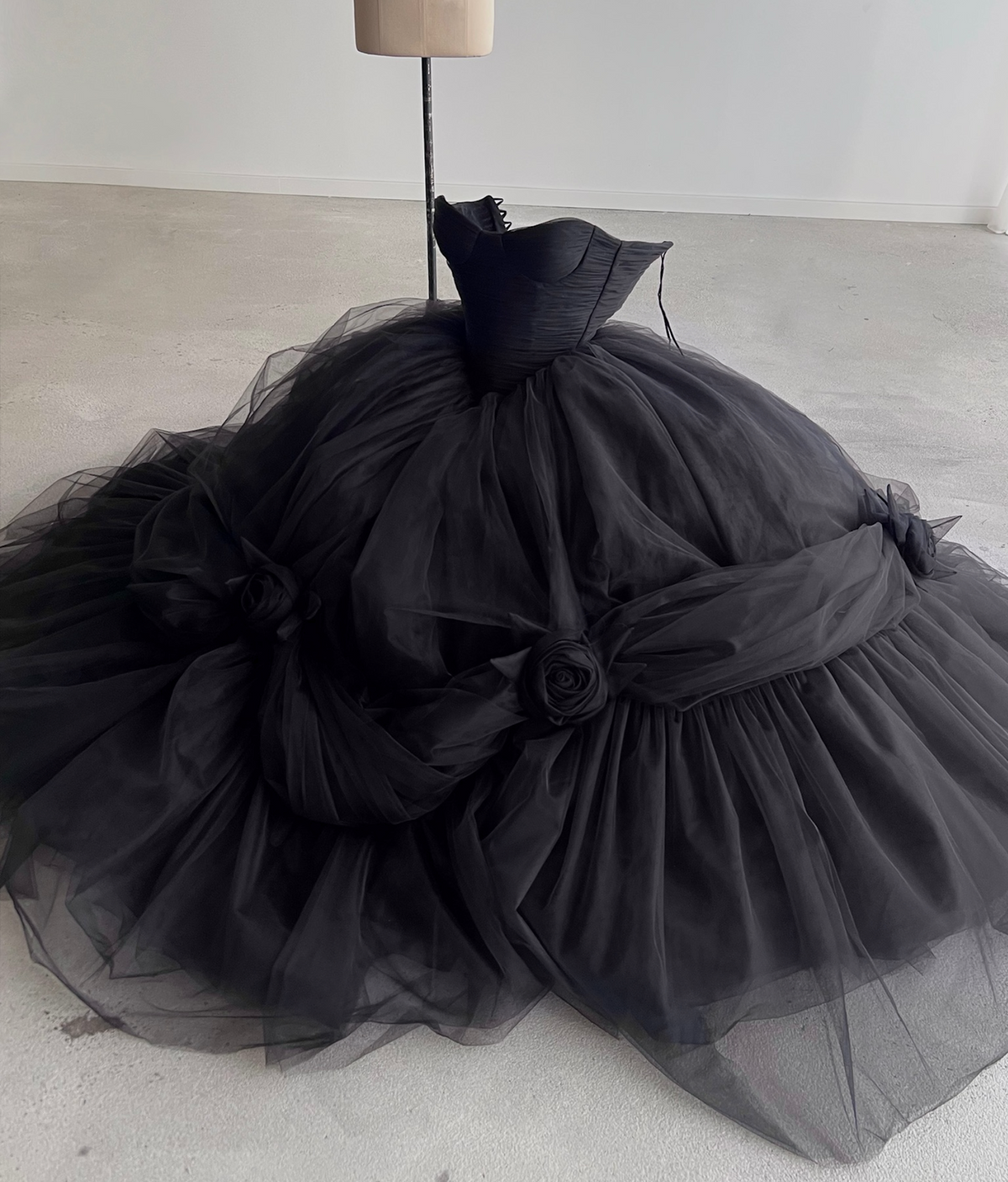 Black Beauty