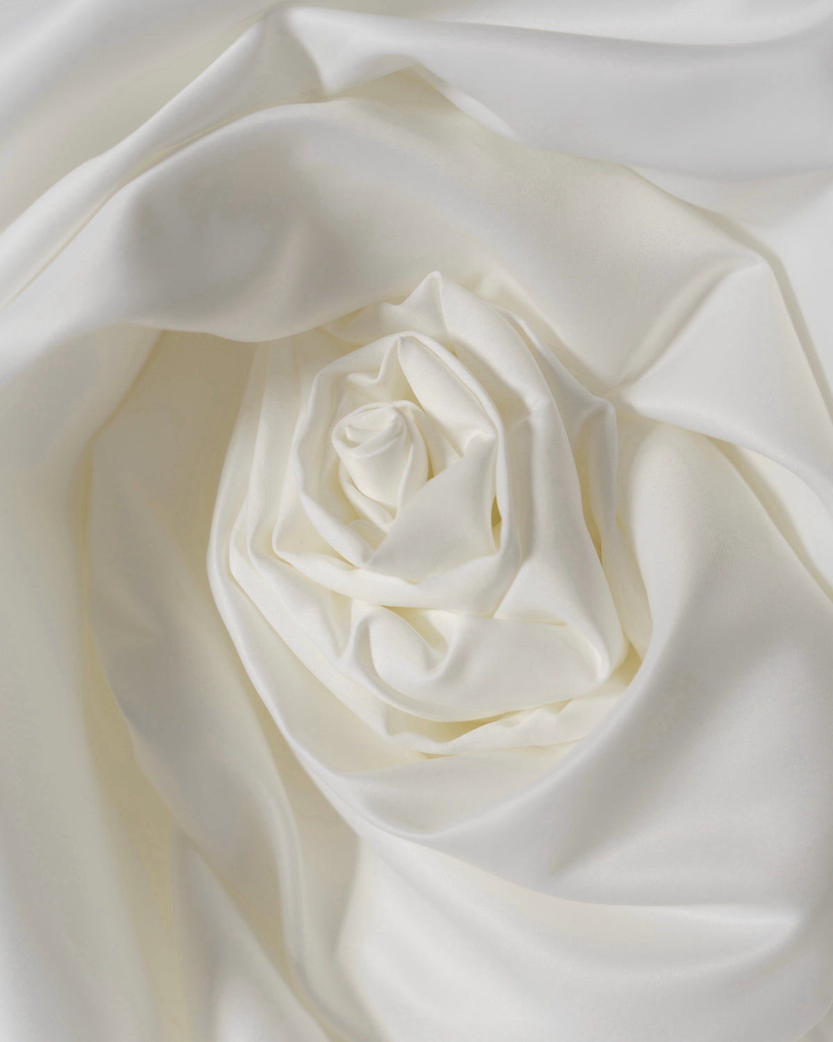 The Rose